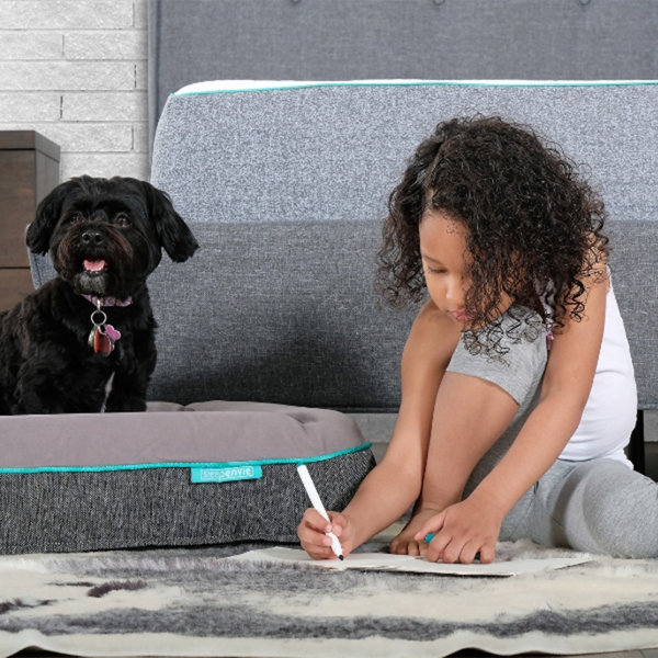 Sleepenvie Jaxon Waterproof Memory Foam Dog Bed Wayfair